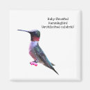 Search for ruby magnets Hummingbird