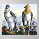 Search for yellow grey white posters Black and white