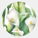 Search for summer lilies stickers Nature