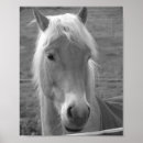 Search for girls horse posters Black and white