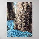 Search for tree bark art Photography