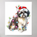 Search for shih tzu art Xmas