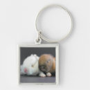 Search for extreme animals key rings Selective focus