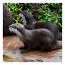 Search for cute otter posters Otters