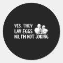 Search for chicken laying on eggs stickers Backyard chickens