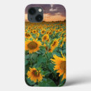 Search for cropped cases Landscape