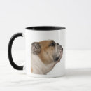 Search for old english bulldog mugs Domestic animals
