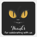 Search for evil cat stickers Kitten