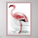 Search for vintage flamingo posters Pink