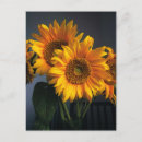 Search for sunflower postcards Bouquet