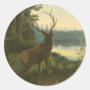 Search for wild deer stickers Animal