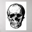 Search for face anatomy posters Human