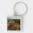 Search for ditto key rings Ie