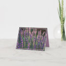 Search for evening light cards Beautiful