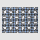 Search for bear tissue paper Blue