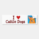 Search for cattle bumper stickers Acd
