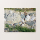 Search for rockpools Seaweed