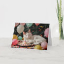 Search for cat designed birthday cards Animal lover