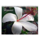 Search for tropical flowers calendars Plumeria