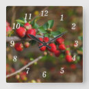 Search for quince art Red