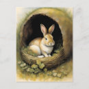 Search for burrow postcards Wildlife