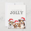 Search for tis the season cards Jolly