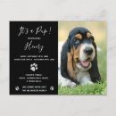 Search for adopt postcards Pet rescue