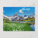 Search for always postcards Encouragement