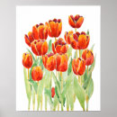 Search for orange tulip posters Watercolor