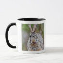 Search for cottontail rabbit mugs Nature