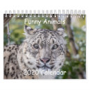 Search for funny animal calendars Silly