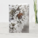 Search for national park christmas cards Montana