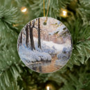 Search for winter scene christmas tree decorations Nature