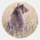 Search for omnivore stickers Grizzly bear