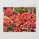 Search for colourful floral pattern postcards Beautiful