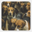 Search for foxhound stickers Dog