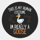 Search for last minute stickers Costume