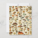 Search for fungi cards Vintage