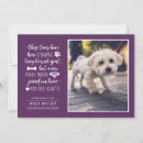 Search for new puppy invitations Dog