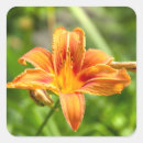 Search for beautiful spring stickers Photography