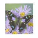 Search for insect notepads Colourful