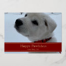 Search for happy pawlidays cards Red