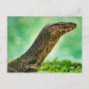 Search for monitor postcards Varanus