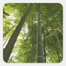 Search for bamboo forest stickers Japan