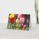 Search for empathy cards Encouragement