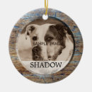 Search for sympathy pet memorial ornaments Condolence