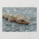 Search for lizards invitations Reptiles