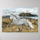 Search for dapple grey posters Equine