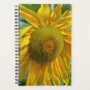 Search for summer planners Yellow