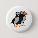 Search for puffins badges Atlantic puffin